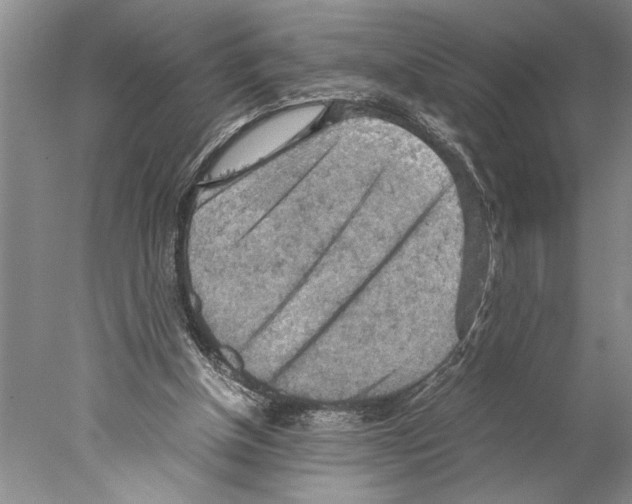 X0000077970154200611251328