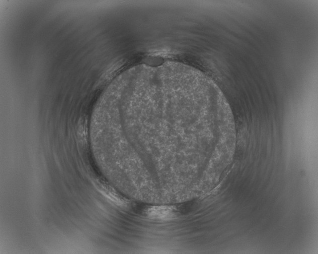 X0000077970179200611251329