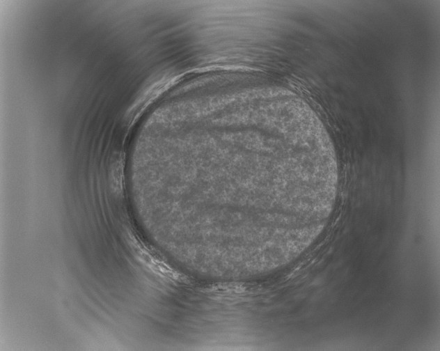 X0000077970194200611251328