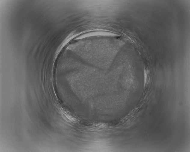 X0000077970195200611251328