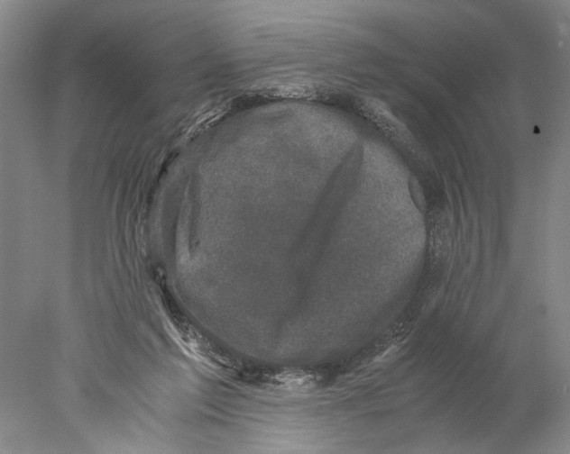 X0000077970213200611251328