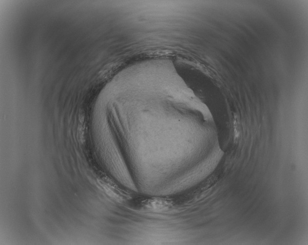 X0000077970223200611251328