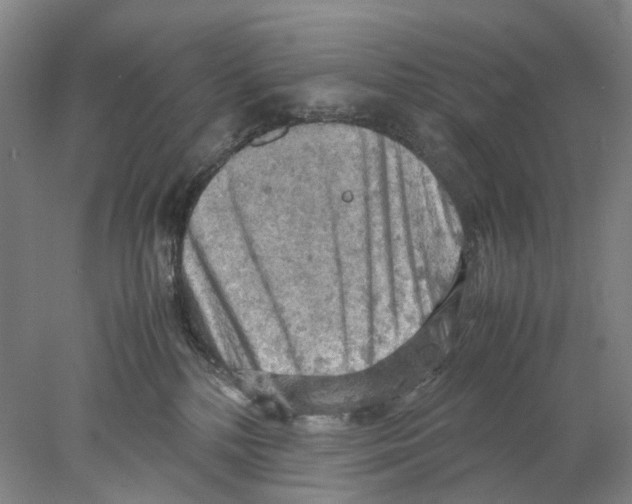 X0000077970232200611251328