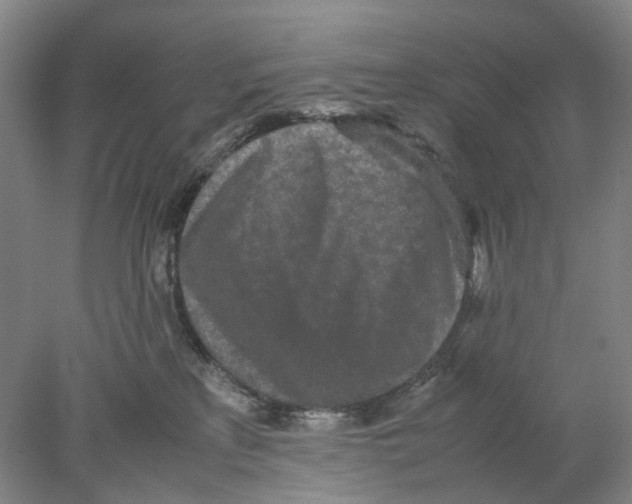 X0000077970233200611251328