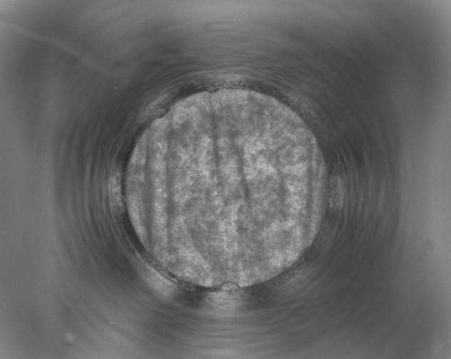 X0000077970238200611251328