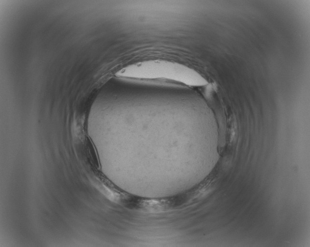 X0000077970239200611251328