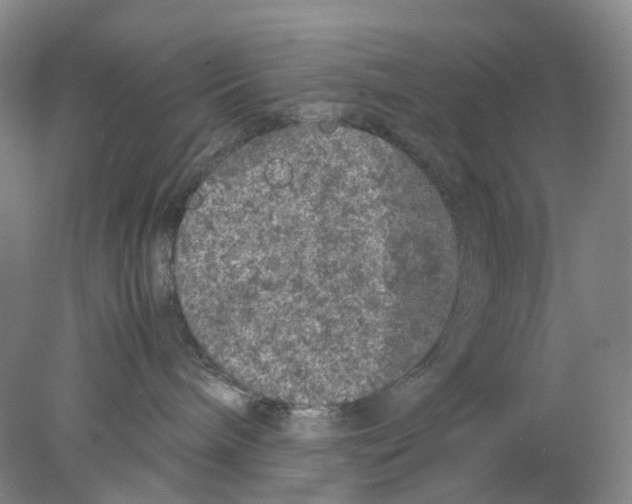X0000077970240200611251328