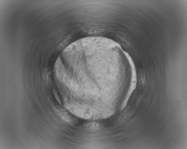 X0000077970276200611251327