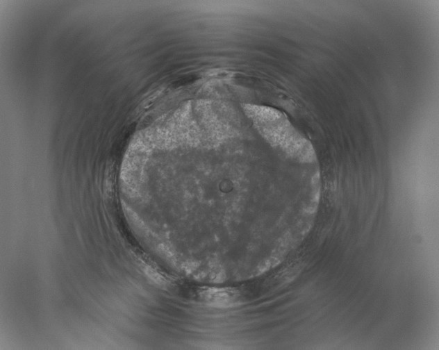 X0000077970277200611251327