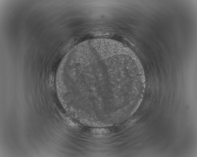 X0000077970281200611251327