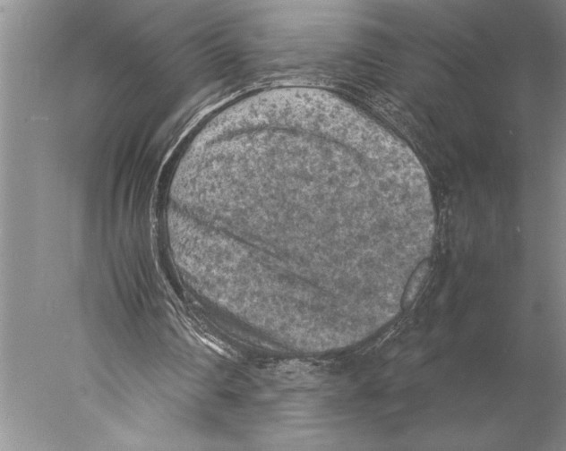 X0000077970290200611251327