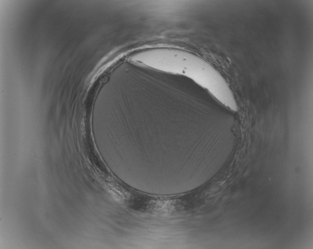 X0000077970295200611251327
