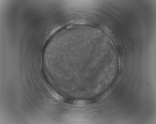 X0000077970301200611251326