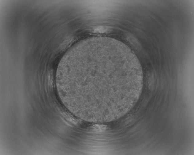 X0000077970328200611251326