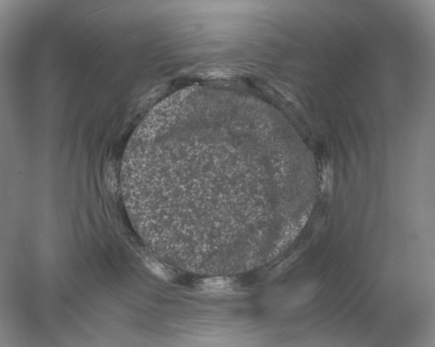 X0000077970335200611251326