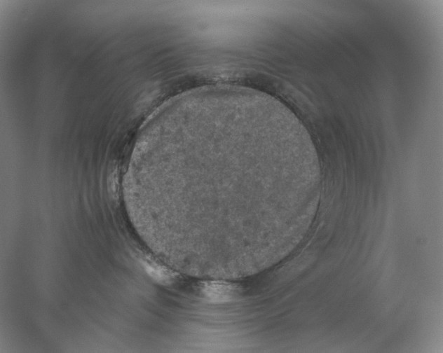 X0000077970336200611251326
