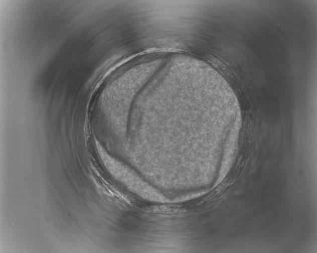 X0000077970338200611251325