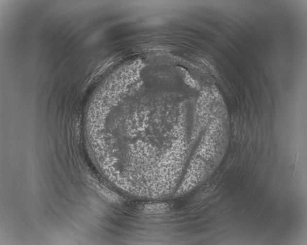 X0000077970357200611251325