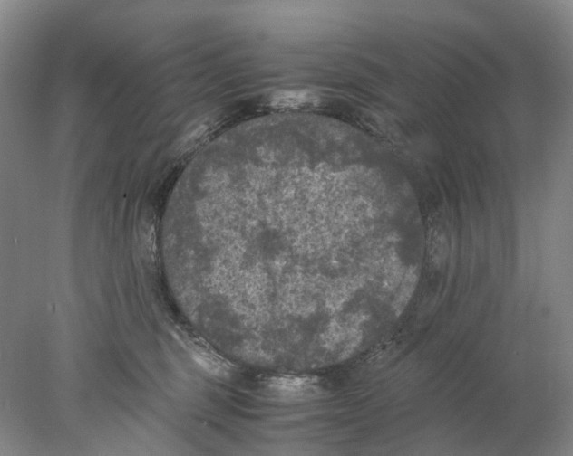 X0000077970375200611251326