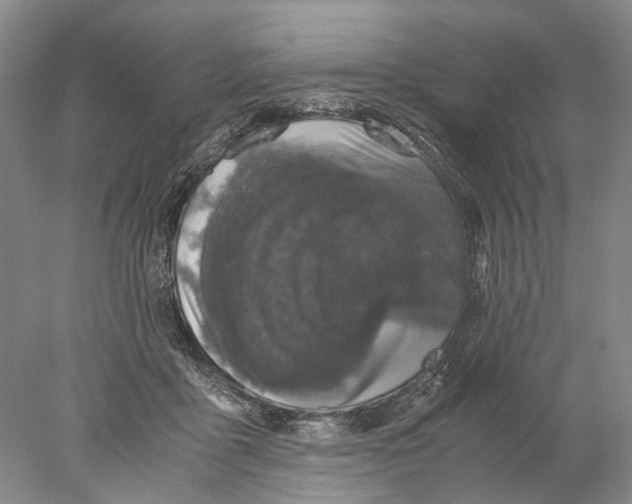 X0000077970411200611251325