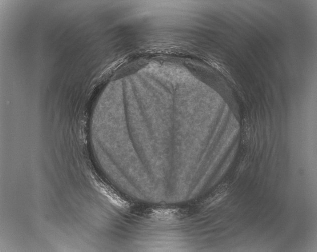 X0000077970450200611251324