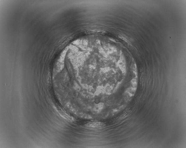 X0000077970459200611251324