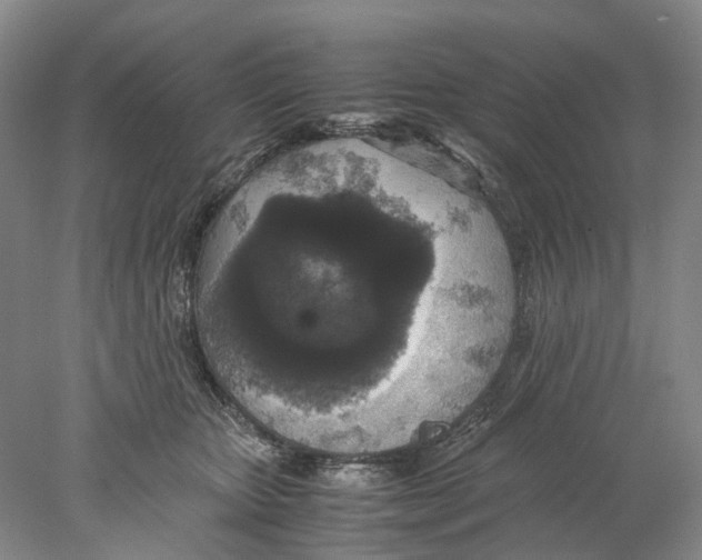 X0000077970467200611251324
