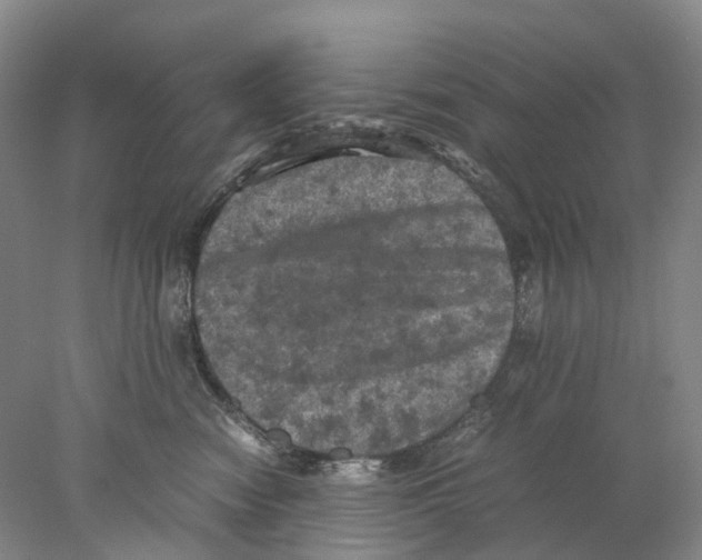 X0000077970474200611251324