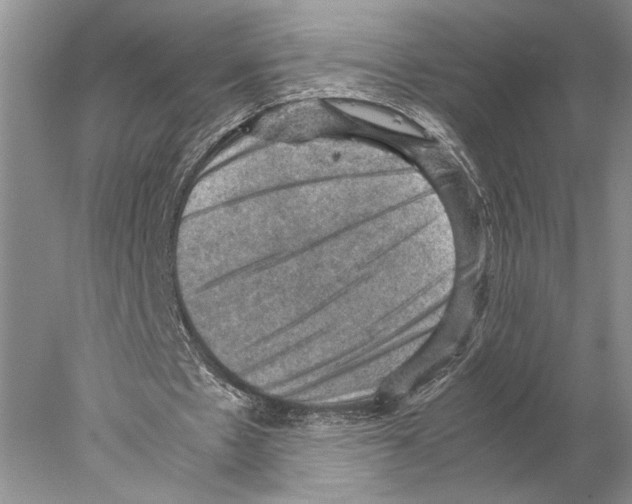 X0000077970481200611251323