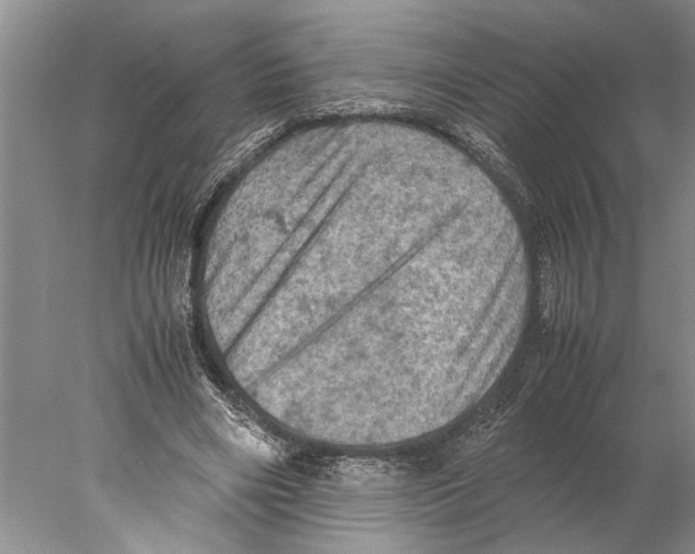 X0000077970490200611251323
