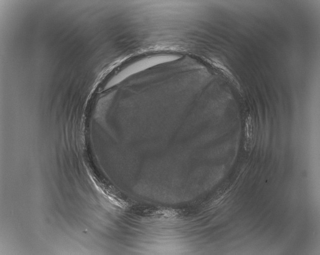 X0000077970492200611251323