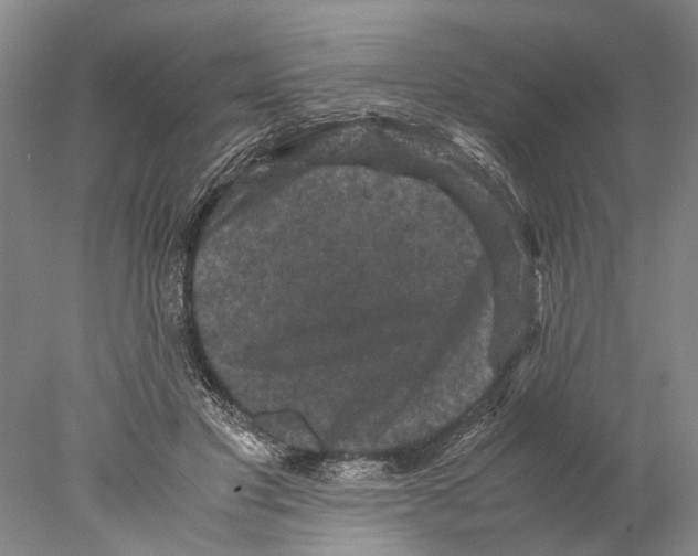 X0000077970501200611251323
