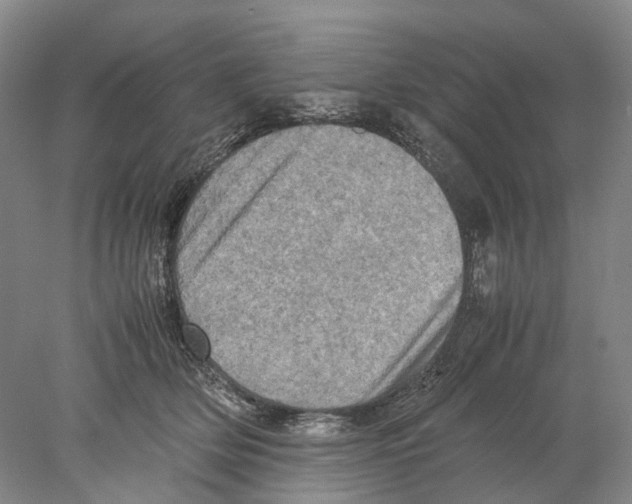 X0000077970514200611251323