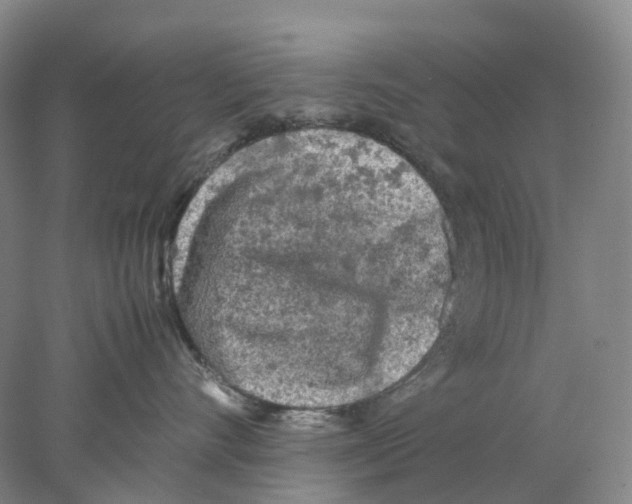 X0000077970528200611251323