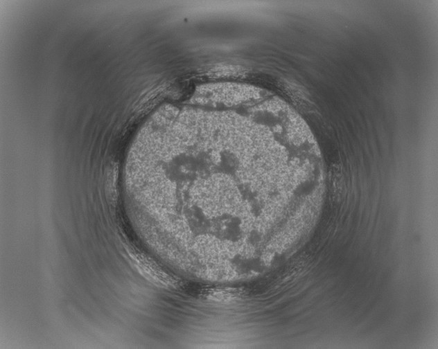 X0000077970550200611251322