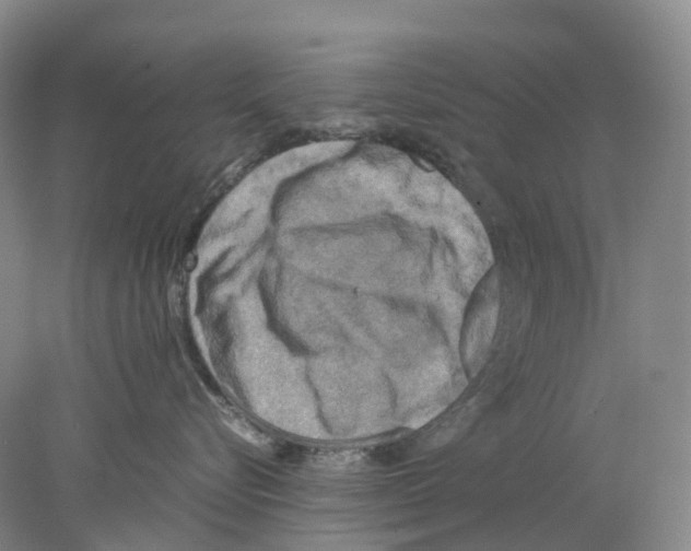 X0000077970576200611251323