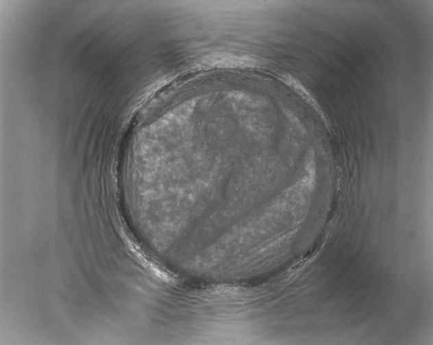 X0000077970581200611251322