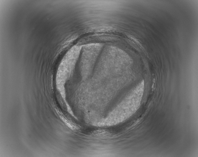 X0000077970589200611251322