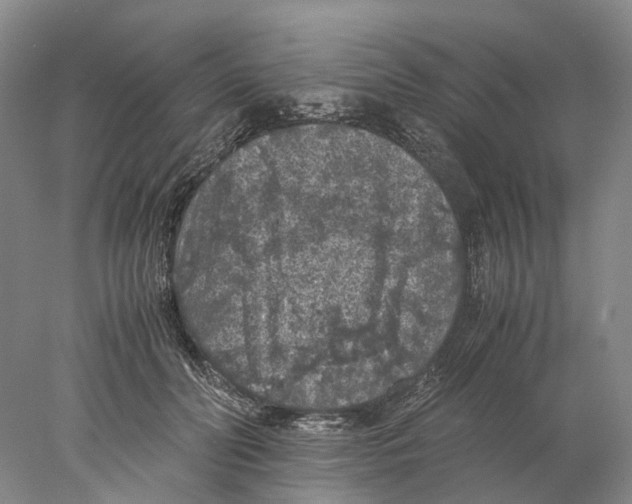 X0000077970606200611251321