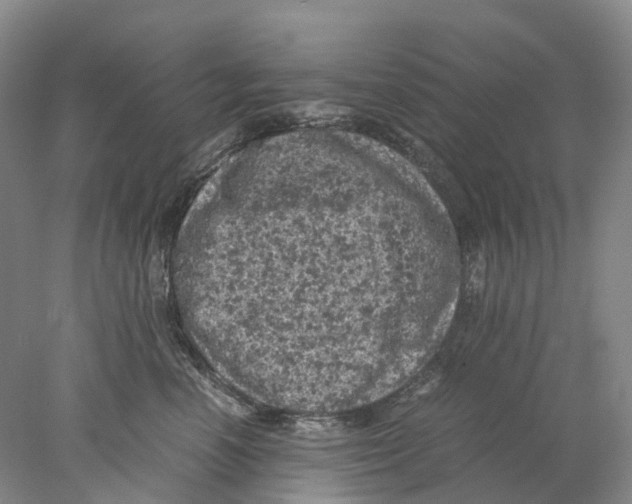 X0000077970666200611251321