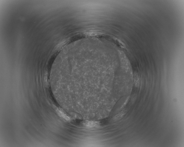 X0000077970670200611251321