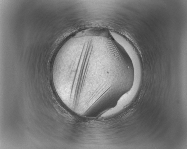 X0000077970673200611251320