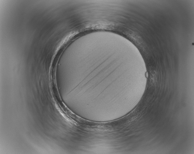 X0000077970678200611251320