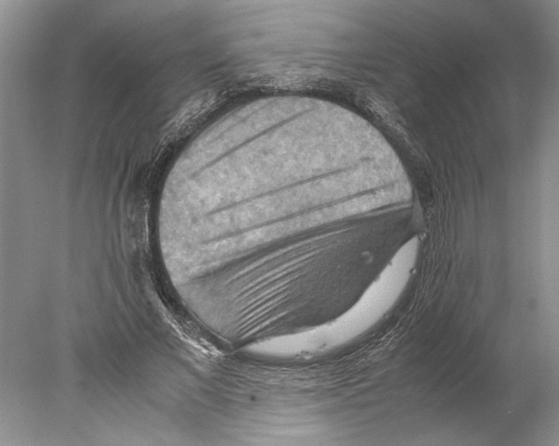 X0000077970685200611251320