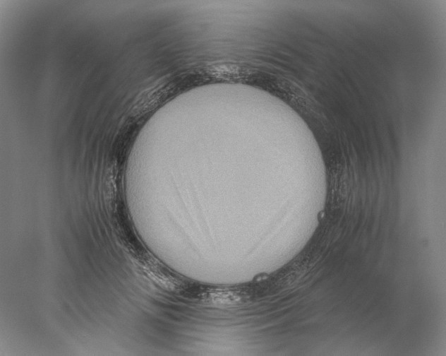 X0000077970702200611251320