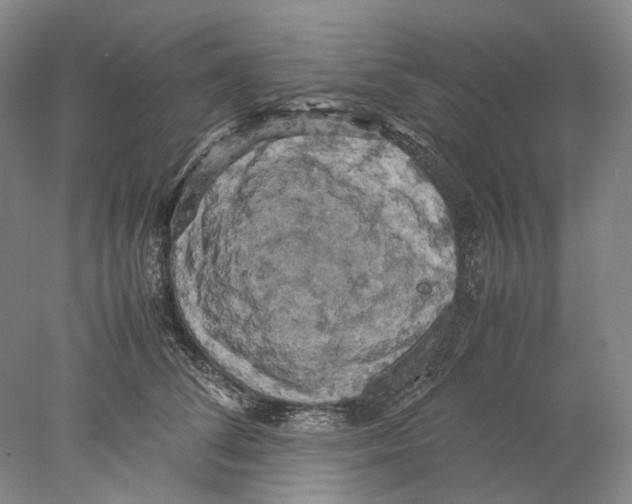 X0000077970708200611251320
