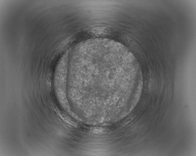 X0000077970710200611251320