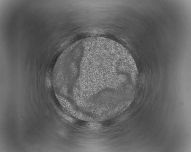 X0000077970719200611251319