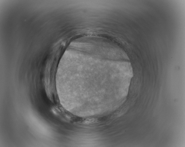 X0000077970720200611251319