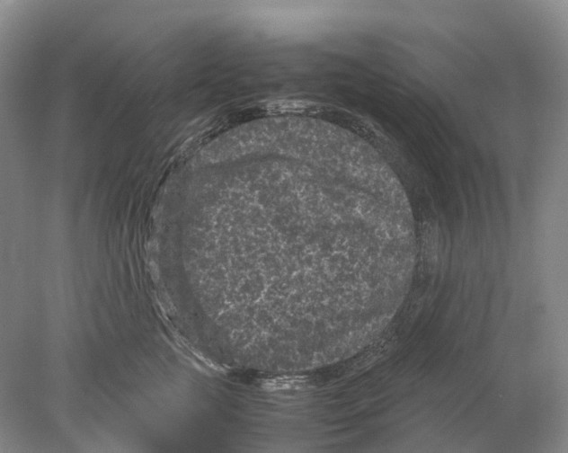 X0000077970761200611251319